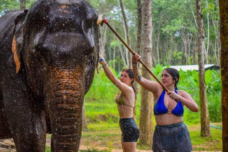 Phuket: Happy Hour Feed and Rain Shower with Elephant - The Experience Breakdown