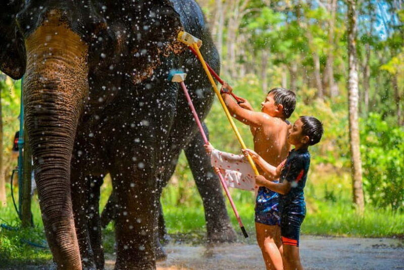 Phuket: Happy Hour Feed and Rain Shower with Elephant - Final Thoughts
