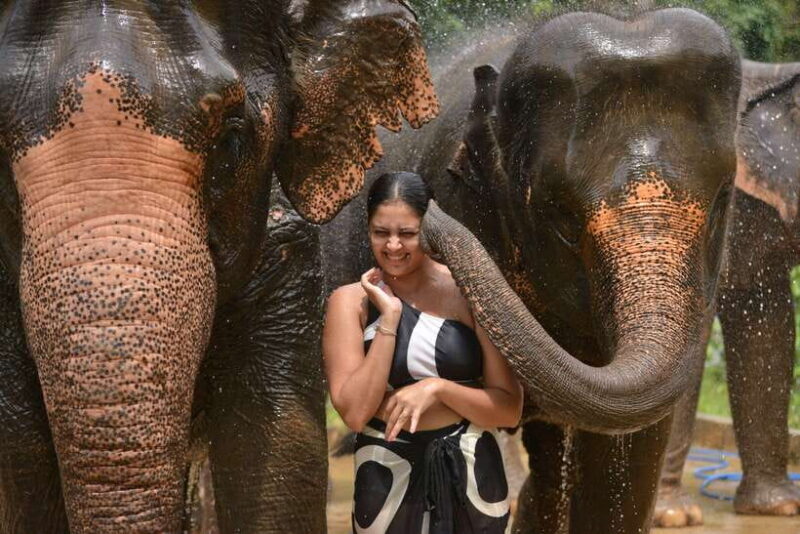 Phuket: Happy Hour Feed and Rain Shower with Elephant - FAQ