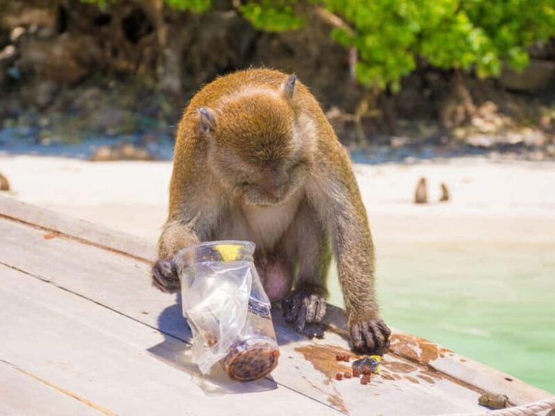 Phuket: James Bond Island Sea Canoe with lunch by Big Boat - Key Points