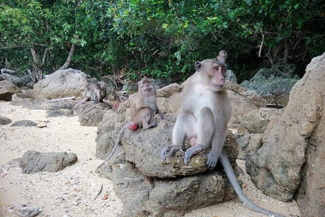 Phuket Jet Ski Tour to 5-8 Islands with Pickup and Transfer - Key Points