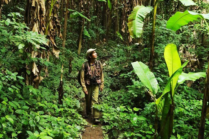 Phuket Jungle Trekking Experience at Khao Phra Taew National Park - Experience the Wild: Phuket Jungle Trekking at Khao Phra Taew National Park