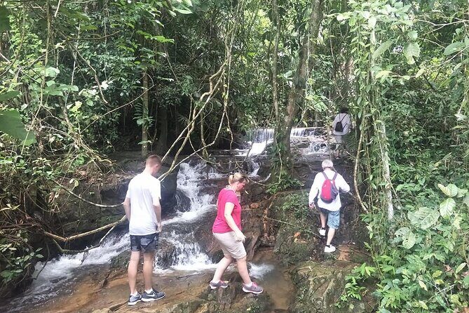 Phuket Jungle Trekking Experience at Khao Phra Taew National Park - Who Is This Tour Best Suited For?