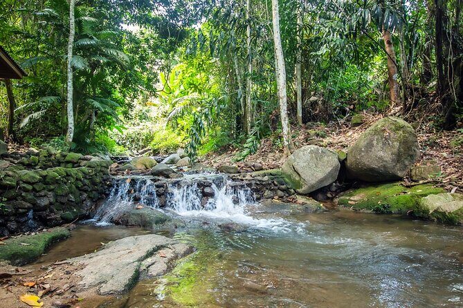 Phuket Jungle Trekking Experience at Khao Phra Taew National Park - The Sum Up
