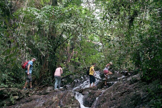 Phuket Jungle Trekking Experience at Khao Phra Taew National Park - FAQ