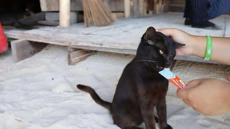 Phuket: Khai Nok, Khai Nai, and Khai Nui Island Day Trip - A Closer Look at the Experience