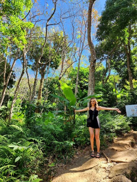 Phuket Lookouts Tour with Lunch at Organic Farm - The Sum Up