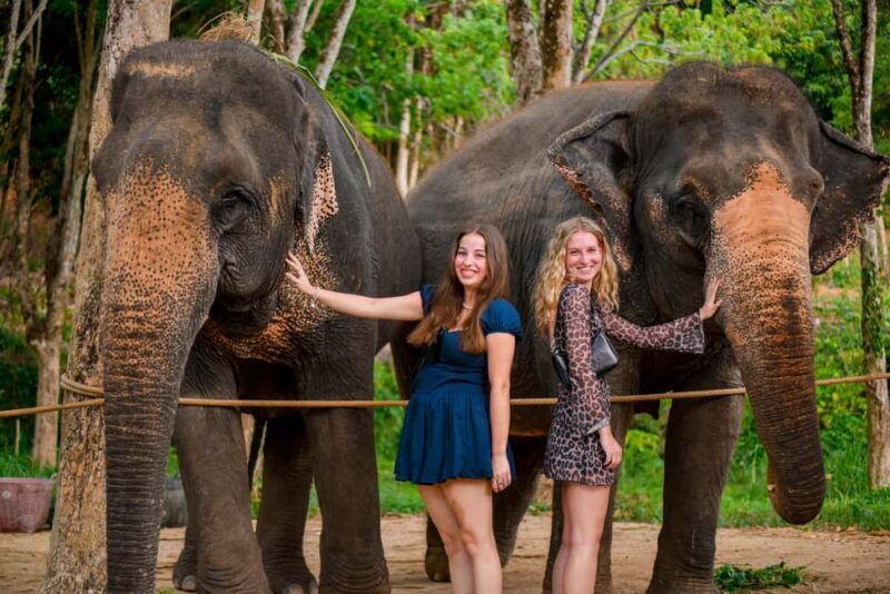 Phuket: Make & Meet The Gentle Giant Experience - Key Points