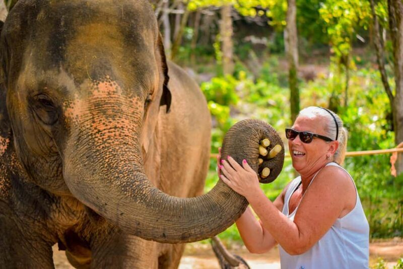 Phuket: Make & Meet The Gentle Giant Experience - An In-Depth Look at the Elephant Experience in Phuket