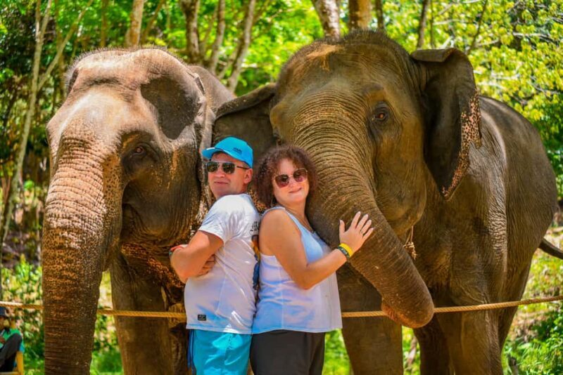 Phuket: Make & Meet The Gentle Giant Experience - The Sum Up