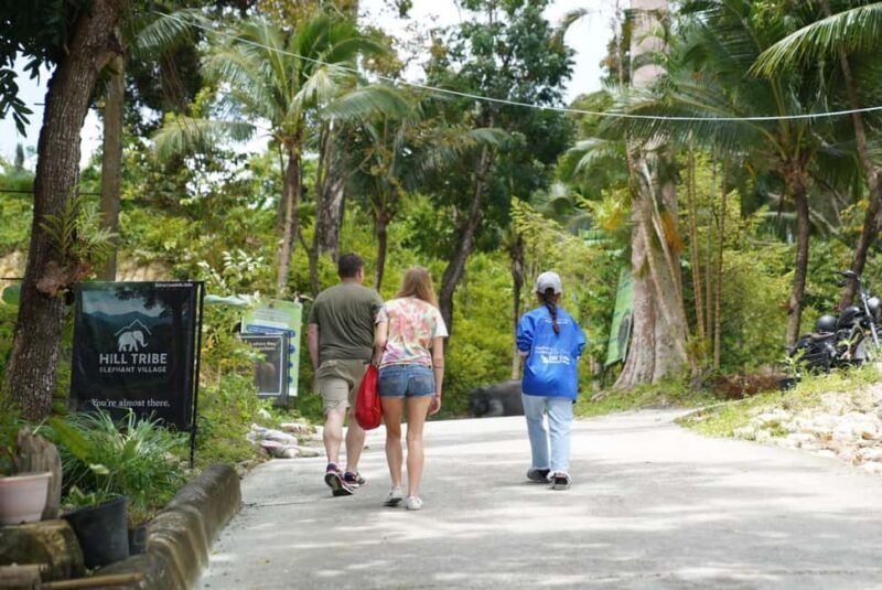 Phuket: Patong Elephant Sanctuary Observe & Learn Experience - Phuket: Patong Elephant Sanctuary Observe & Learn Experience — A Genuine Encounter with Elephants in Chiang Mai