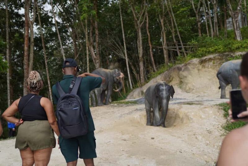 Phuket: Patong Elephant Sanctuary Observe & Learn Experience - Why This Tour Works Well for Travelers