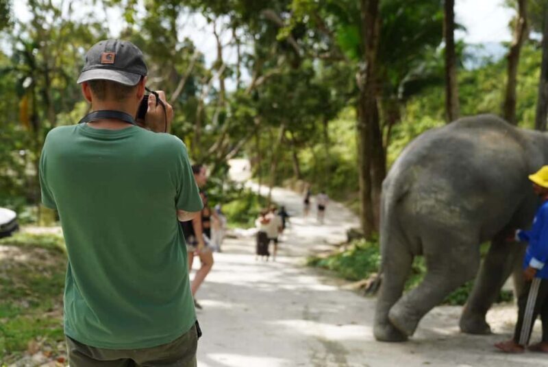 Phuket: Patong Elephant Sanctuary Observe & Learn Experience - Final Thoughts