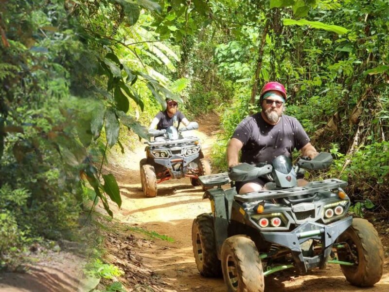 Phuket: Premium ATV Bike with Big Buddha Tour - Key Points