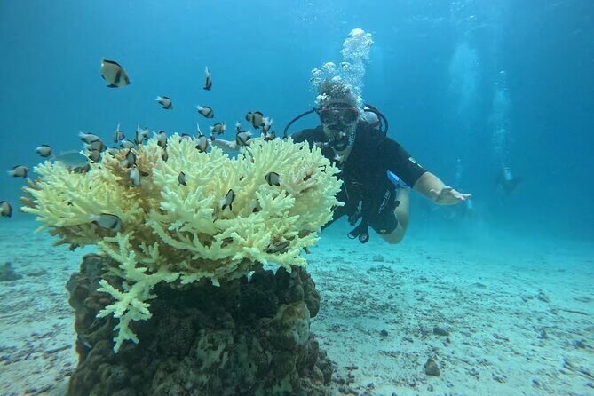 Phuket Racha PADI Discover Scuba Diving 2 Dives and GoPro - Key Points