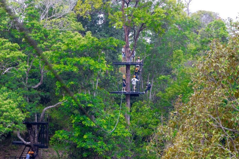 Phuket: Rainforest Eco Zipline Expedition - Quick Overview