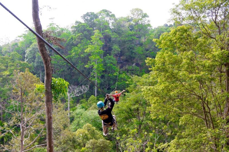 Phuket: Rainforest Eco Zipline Expedition - Analyzing the Value