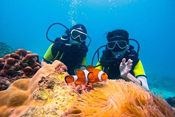 Phuket Scuba Diving: Racha Island Or Maiton Island For All Levels - Key Points