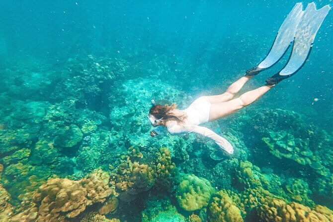 Phuket Speedboat Day Tour to Phi Phi & Maya Bay Highlights - The Itinerary Breakdown: What to Expect on Your Day