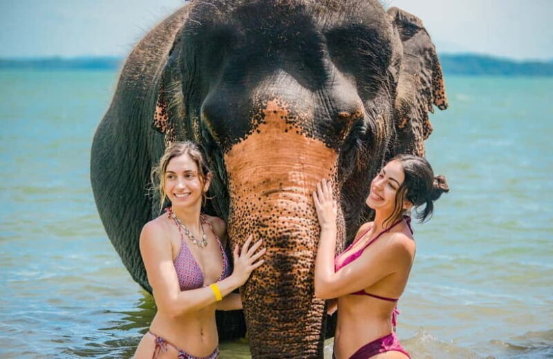 Phuket:Beach walk with elephants, rain & care. 2.5 hours - Who Will Love This Tour?