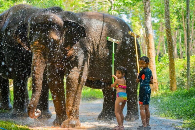 Phuket:Beach walk with elephants, rain & care. 2.5 hours - Frequently Asked Questions (FAQs)