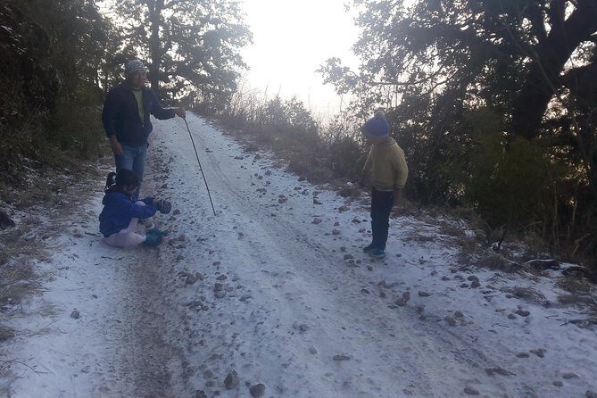 Phulchoki bird-watching tour - Who Will Love This Tour?