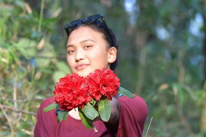 Phulchowki day hiking - Who Should Consider This Tour?