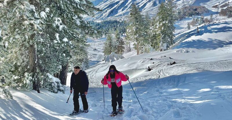 Piano Provenzana: Guided Mt. Etna Snowshoeing Trek - Exploring the Mountain: What to Expect on the Tour