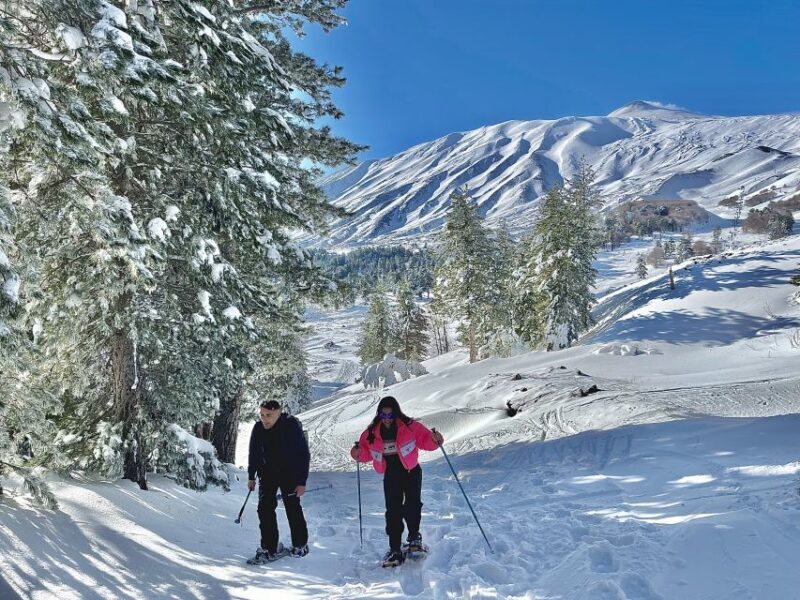 Piano Provenzana: Guided Mt. Etna Snowshoeing Trek - The Value of This Snowshoeing Experience