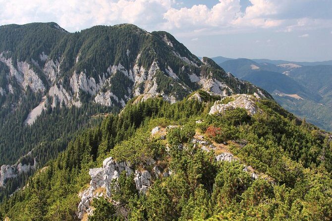 Piatra Craiului National Park Private Hiking Tour from Brasov - Exploring the Landscape of Piatra Craiului National Park