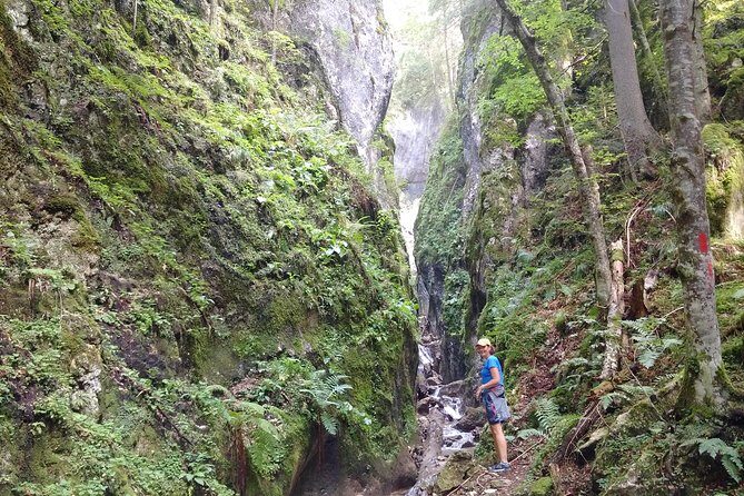 Piatra Craiului National Park Private Hiking Tour from Brasov - FAQ