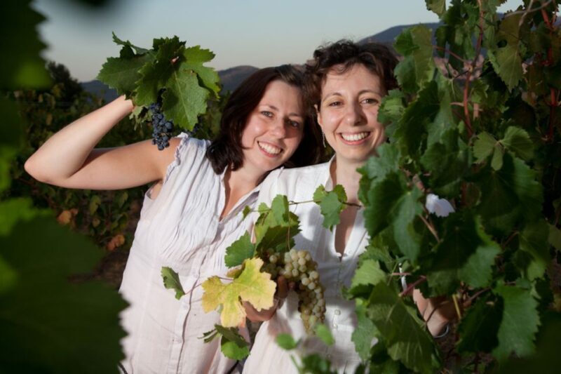 Pic nic Deluxe Assisi and wine tasting 5 wines - A Close-Up Look at the Pic nic Deluxe Assisi and Wine Tasting Tour