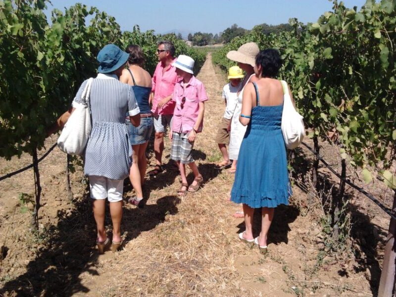 Pic nic Deluxe Assisi and wine tasting 5 wines - Frequently Asked Questions