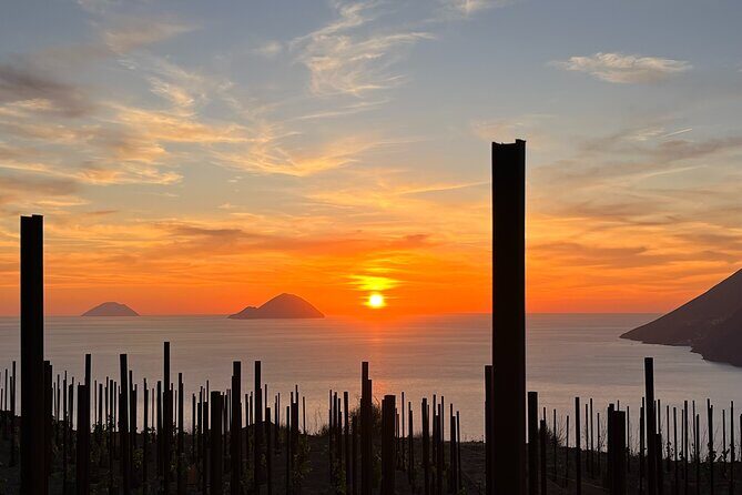Pic-nic in the vineyard - Experience the Charm of the Aeolian Islands with a Vineyard Picnic