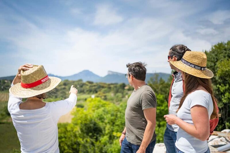 Pic Saint-Loup: Full Day Wine and Olive Tour - The Sum Up: Who Should Consider This Tour?