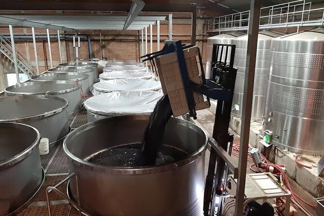 Pick up at the Pier and Valparaiso -Viña del Mar and transfer to the Airport - Visiting Plaza Sotomayor and the Flower Clock