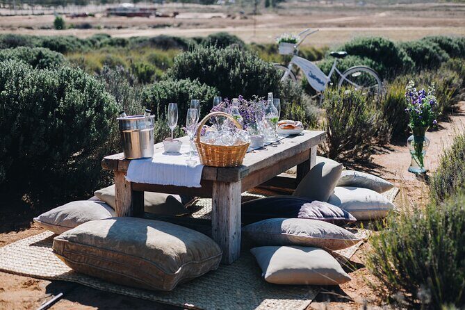 Picnic among lavender - FAQ About the Lavender Picnic Tour