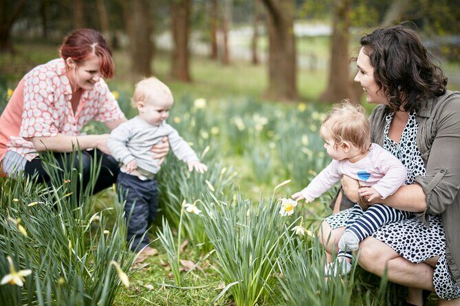 Picnic and Farm Experience at Red Hill - Key Points