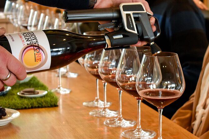 Picnic and Wine Tasting Experience in the Barossa Valley - The Guest Experience: Authentic Feedback