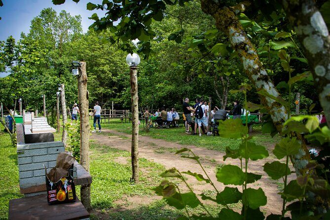 Picnic Area with Barbecue Equipment in Capranica (VT) - Final Thoughts: Who Will Love This?