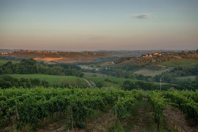 Picnic in the countryside in the heart of Chianti - A Deep Dive into the Chianti Picnic Experience