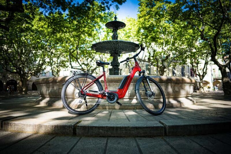 Picnic in the middle of a vineyard by e-bike - Key Points