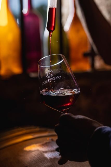 Picnic in the organic vineyards of Brunello - An Authentic Taste of Tuscany’s Vineyards and Flavors