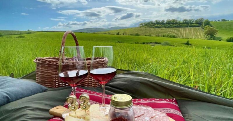 Picnic in the organic vineyards of Brunello - What to Expect: A Closer Look at the Experience