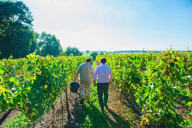 Picnic in the Vines - A Unique Loire Wine Experience - Key Points