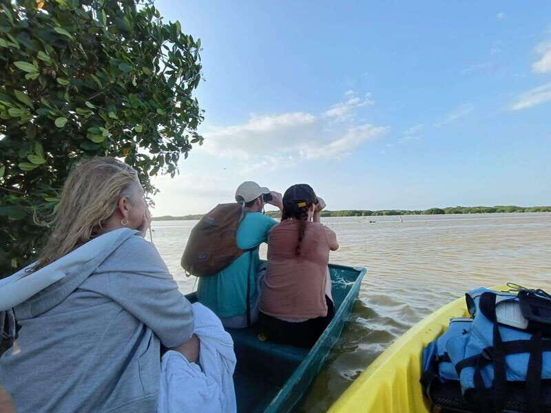 PICNIC ON A SANDBANK + KAYAK ADVENTURE FROM SISAL PUERTO - Exploring the Tour: A Detailed Look