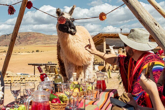 Picnic with Llamas and Chinchero, Moray and Maras - Who Would Love This Tour?