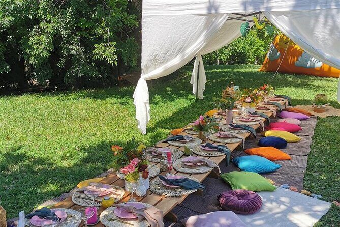 Picnics experience in Hungary - Key Points