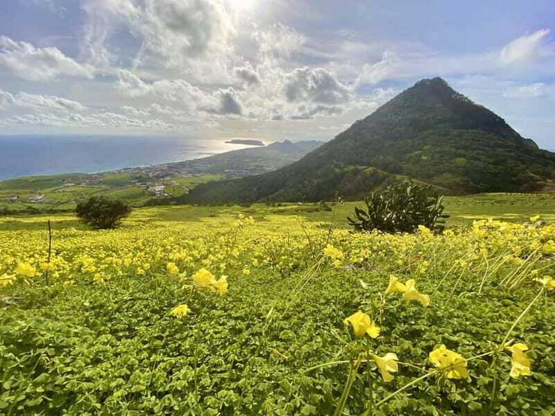 Pico Castelo & Pico Facho Vereda: Walk with Spectacular View - Final Thoughts: Why Choose This Experience?