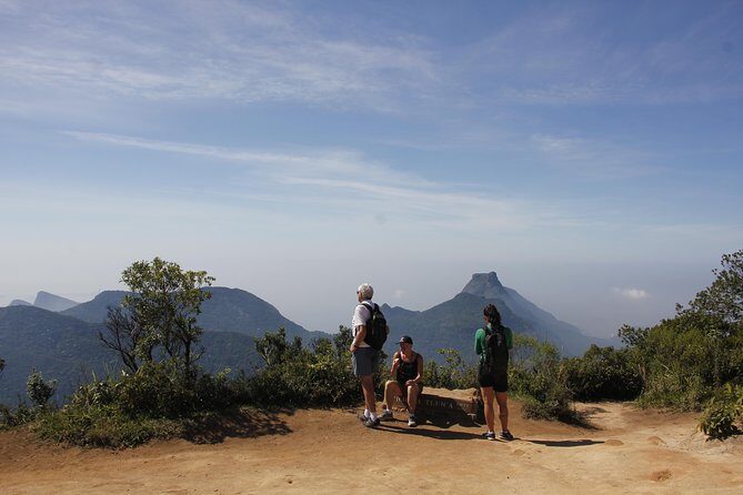Pico da Tijuca Hiking Tour in Tijuca Forest National Park - Pico da Tijuca Hiking Tour in Tijuca Forest National Park